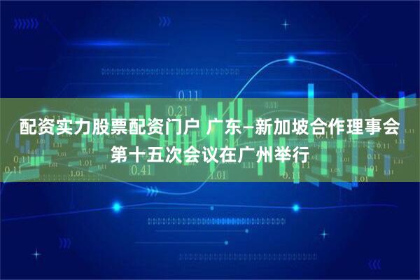 配资实力股票配资门户 广东—新加坡合作理事会第十五次会议在广州举行