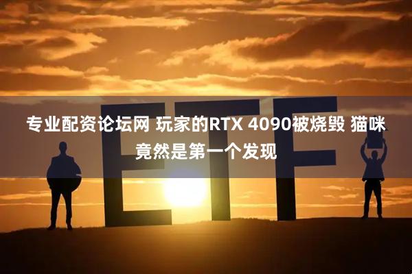 专业配资论坛网 玩家的RTX 4090被烧毁 猫咪竟然是第一个发现